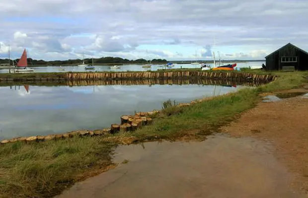 Walk along the Newtown Estuary