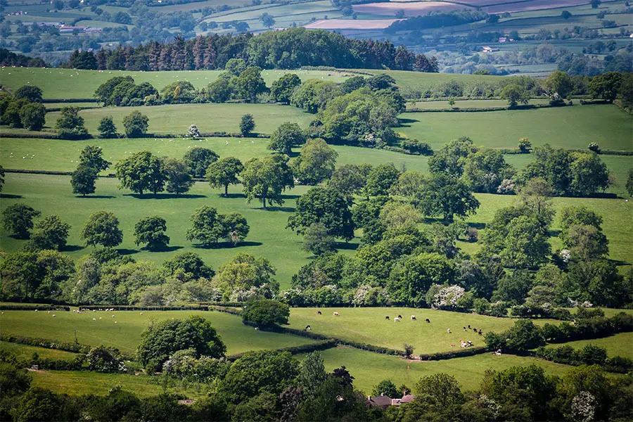 Views of fields from the Shropshire Hills