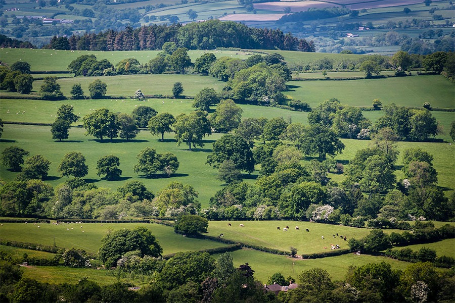 Views of fields from the Shropshire Hills