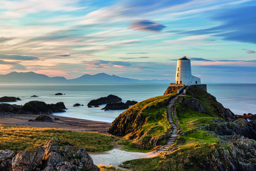 20 of the best dogfriendly campsites Wales has to offer Bailey of