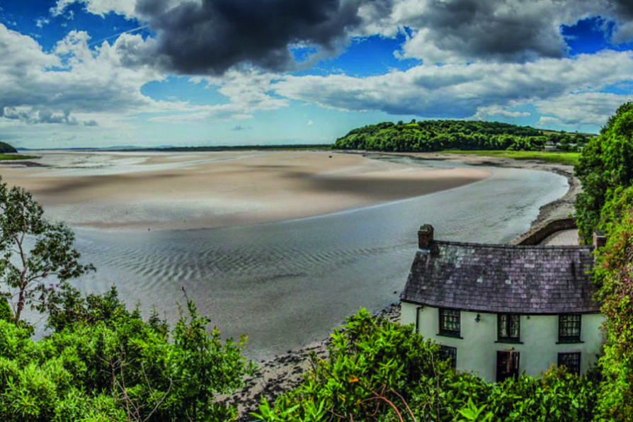 20 of the best dogfriendly campsites Wales has to offer Bailey of