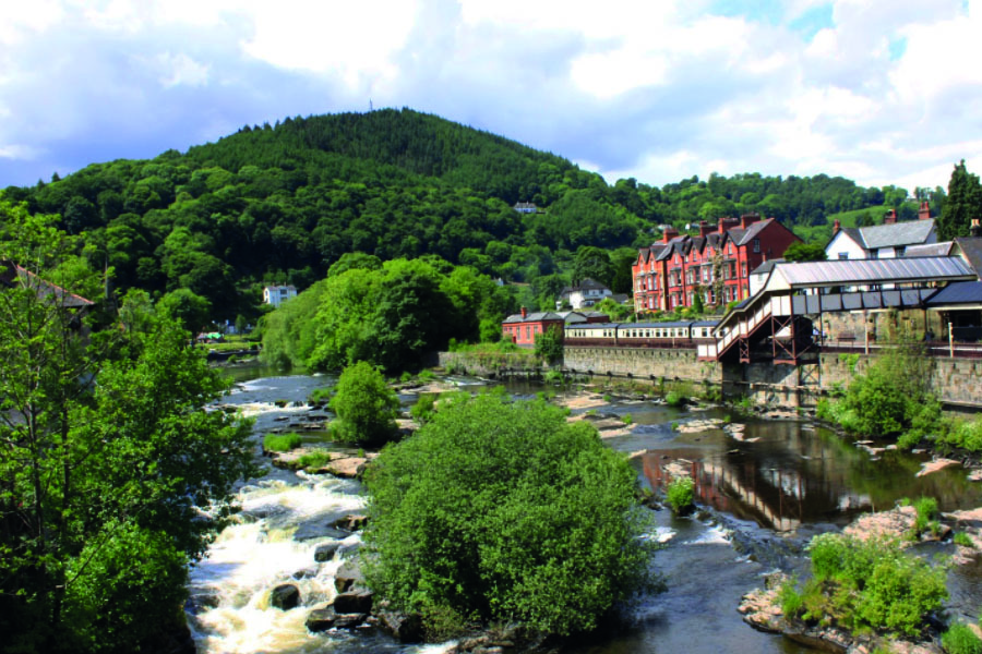 20 of the best dogfriendly campsites Wales has to offer Bailey of