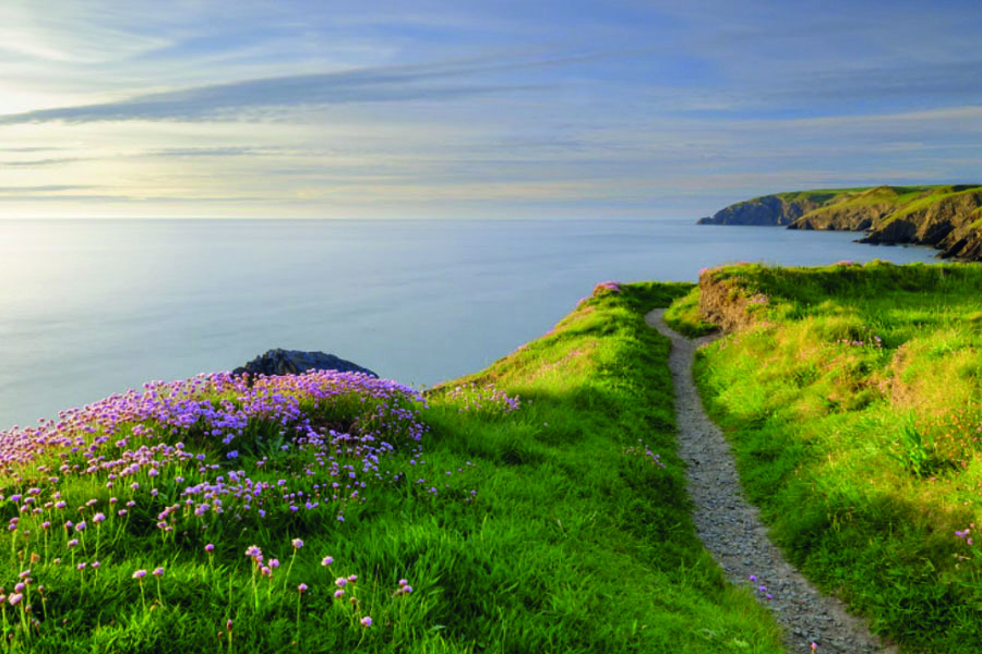 20 of the best dogfriendly campsites Wales has to offer Bailey of