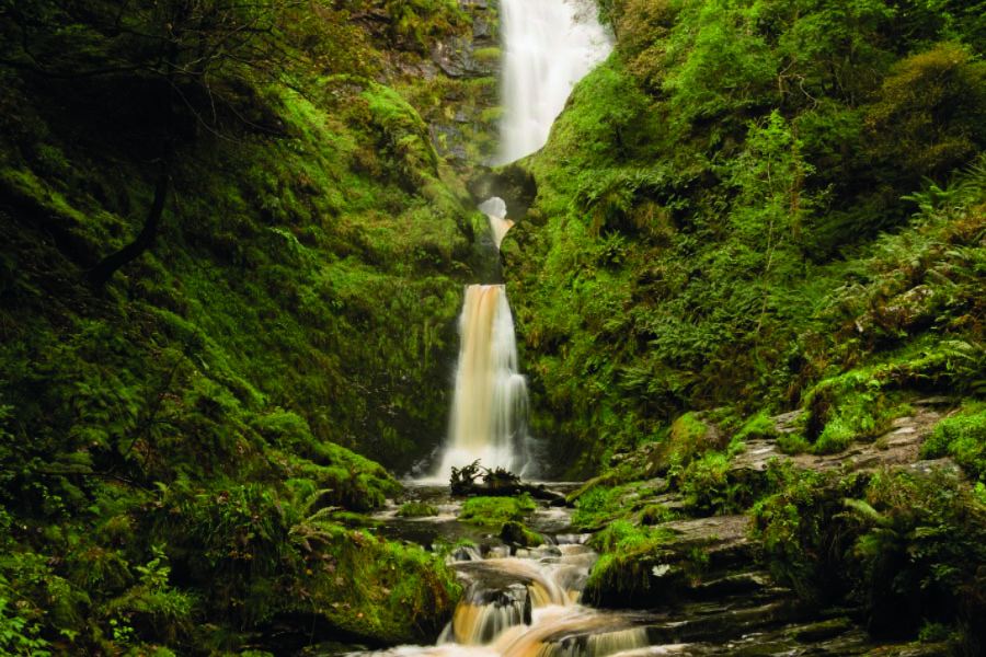 20 of the best dogfriendly campsites Wales has to offer Bailey of