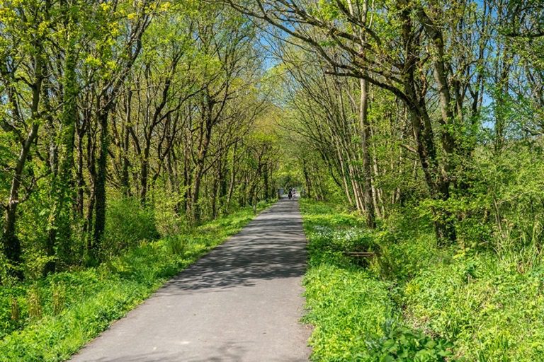 20 of the best campsites in Devon to visit Bailey of Bristol