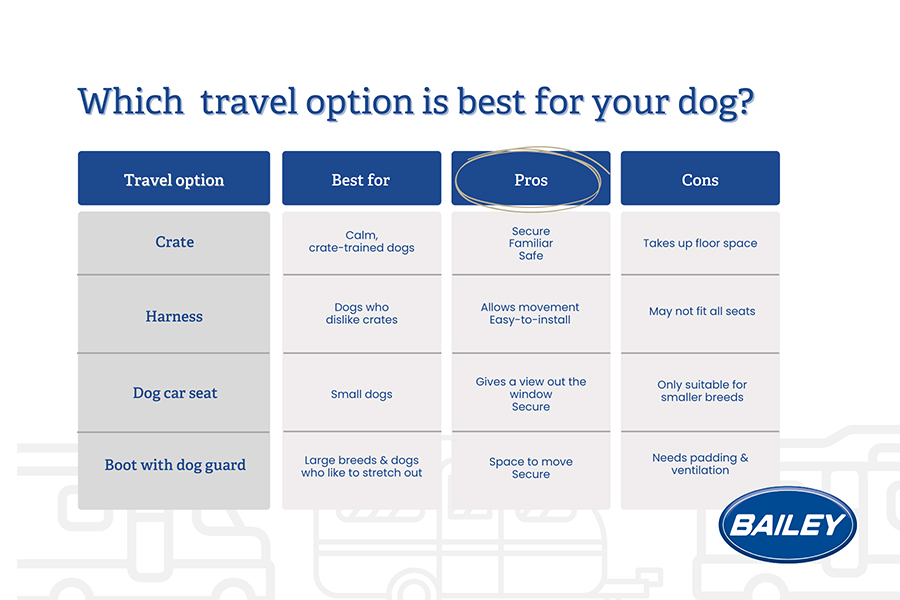Infographic outlining the travel options for dogs