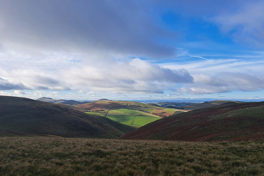 A view of the Scottish borders. Photo by Katherine Carlyon on Unsplash