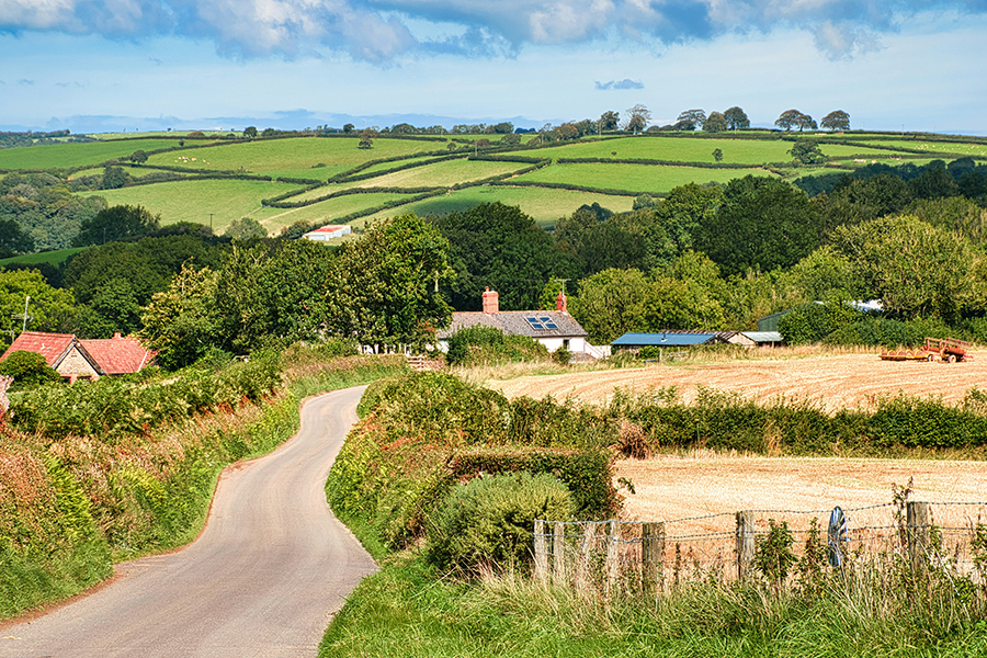 A typical view of Devon: Photo by Craig Cameron on Unsplash