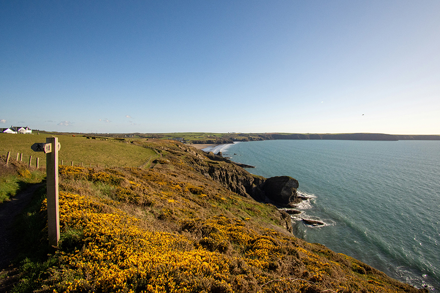 A view over the Broad Haven coast
