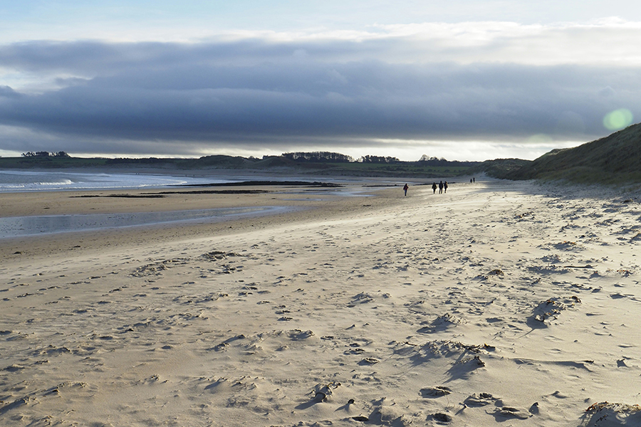 The beach at Embleton. Photo by Don Lodge on Unsplash