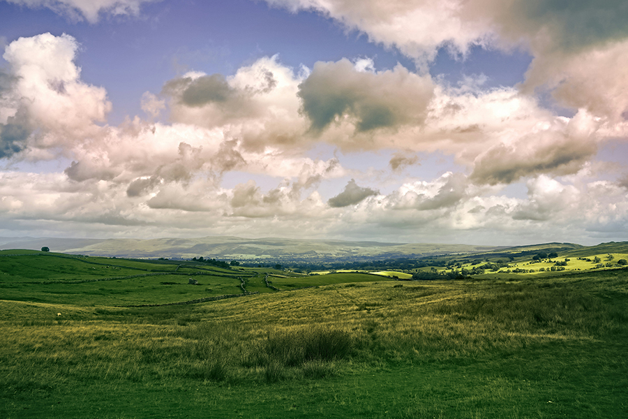 The Cumbria countryside: Photo by Niklas Weiss on Unsplash