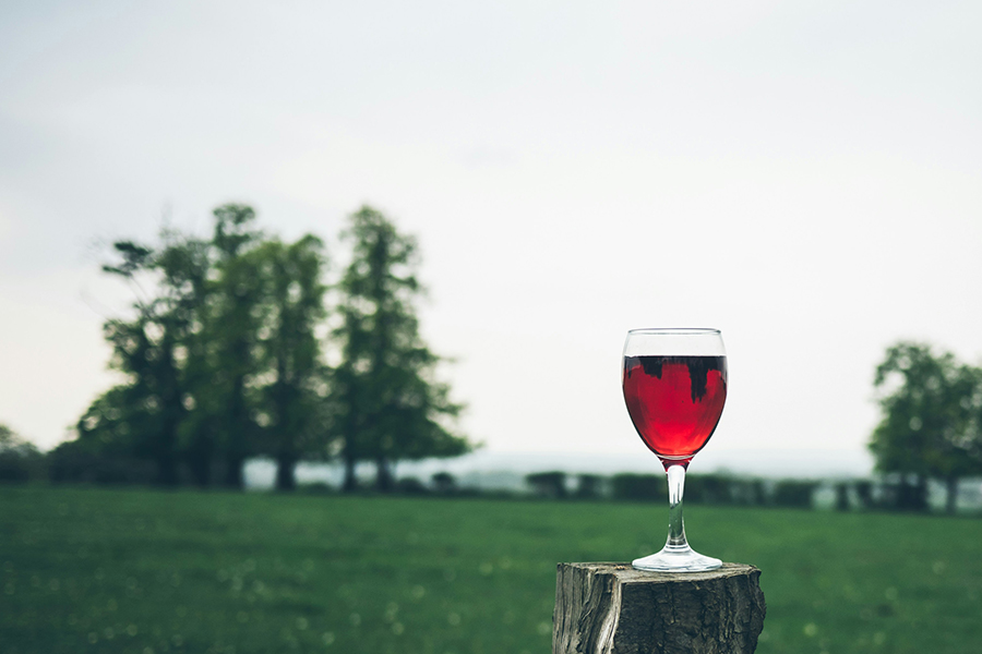 A wine glass on a post in a meadow: Photo by Jamie Street on Unsplash