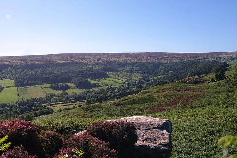 The North York Moors: Photo by Andy Carne on Unsplash
