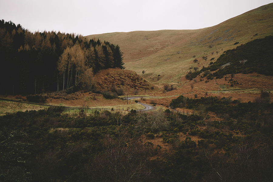 A view over the Northumberland countryside: Photo by Andrew Ridley on Unsplash
