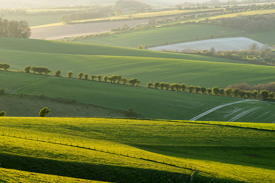 The South Downs countryside at sunset: Photo by Zhi Xuan Hew on Unsplash