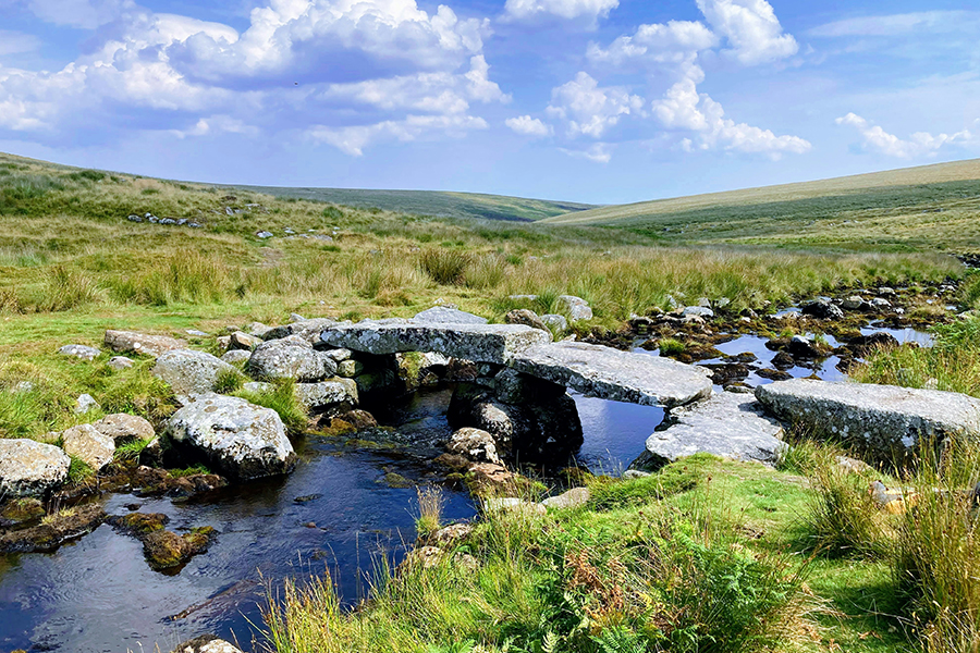 A gentle stream flowing in Dartmoor. Photo by Ben Wrigley on Unsplash