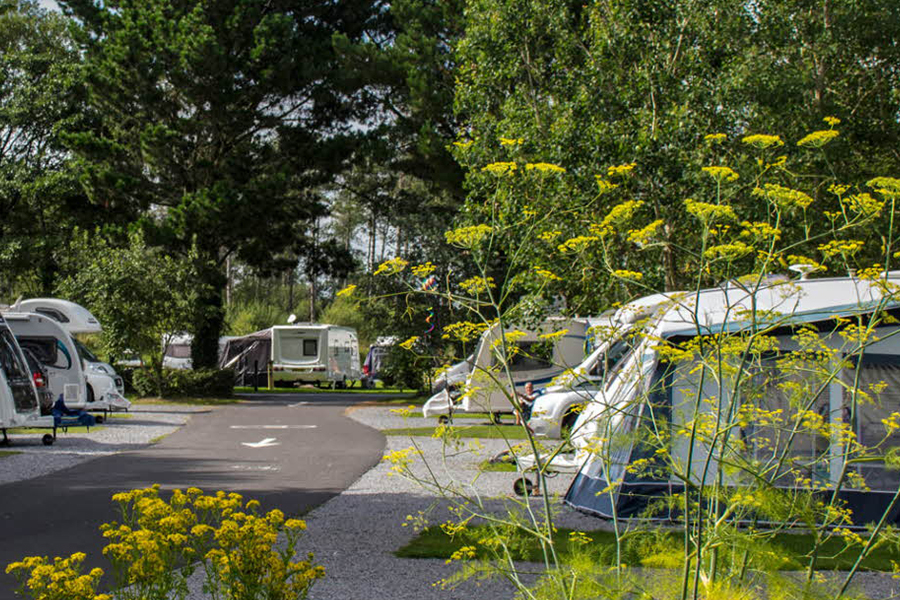 Pembrey Country Park Club Campsite. Image courtesy of The Caravan and Motorhome Club