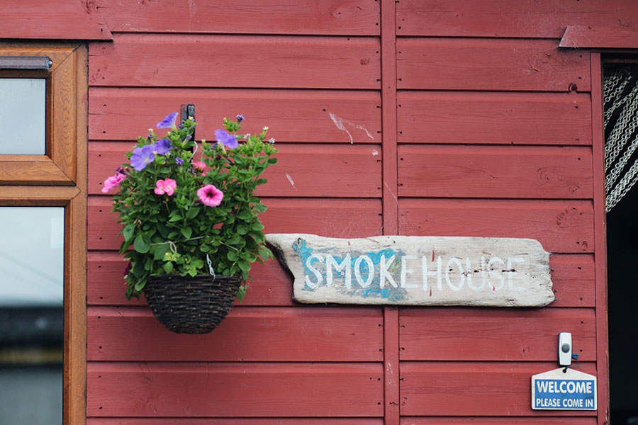 Photo by Morgane Le Breton on Unsplash