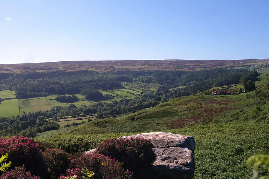 Photo by Andy Carne on Unsplash