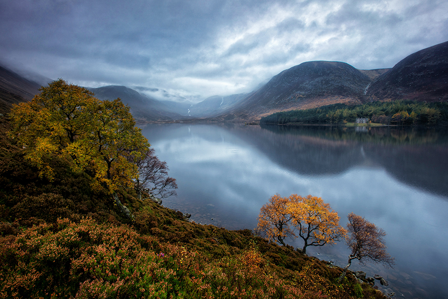 A foggy view over a lake in the Cairngorms National Park Photo by martin bennie on Unsplash