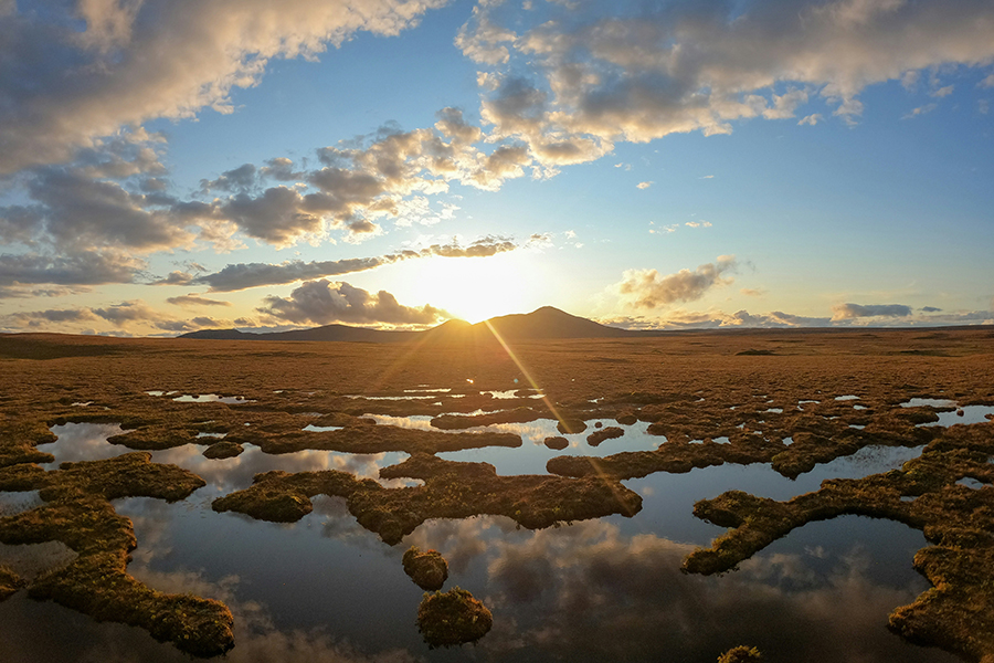 Flow country in Scotland Photo by K B on Unsplash